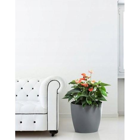Cache-pot en plastique gris 12 cm Magnolia