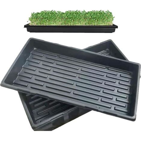 Lot de 5 plateaux de culture sans trous de drainage 55 x 29 cm. Idéal pour semis, jardinage d'intérieur, culture de micro-pousses, d'herbe de blé et autres cultures en terre ou hydroponie. (1/5)
