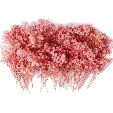 Flores secas, perfectas para bodas y decoración del hogar, paniculata rosa. (1/2)