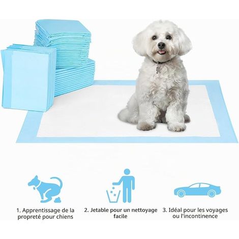 Dog Mat, Pet Training Mat, Dog Pee Mat, Puppies, Small Animals (1/2)
