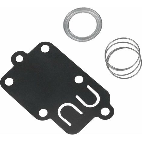 Kit de réparation de carburateur pour Briggs Stratton 270026 272538 272538s 272637 4157 5021 3 Thru 5 HP Motoculteur (1/4)