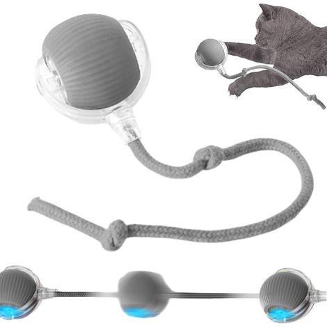 Balle interactive pour chats et chiens, balle roulante à 360° avec queue, rechargeable par USB, balle pour chien autopropulsée, jeu actif et poursuite (gris) (1/5)