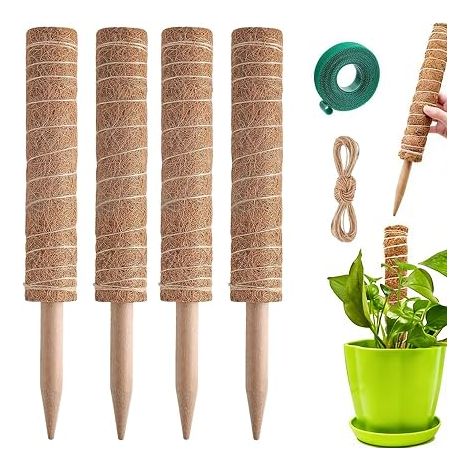Tuteurs Coco Extensibles Plantes d'Intérieur, Support Plantes Tuteur Grimpantes (30cm) (1/5)