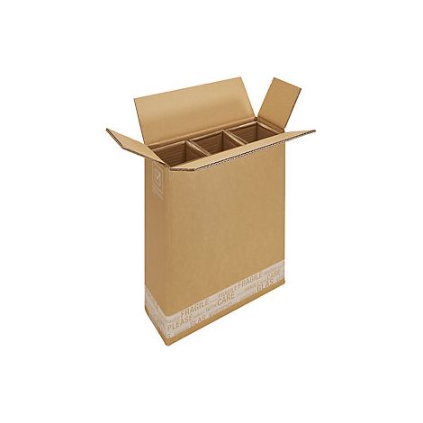 ratioform  Scatola per bottiglie Poste/DHL  con inserto in