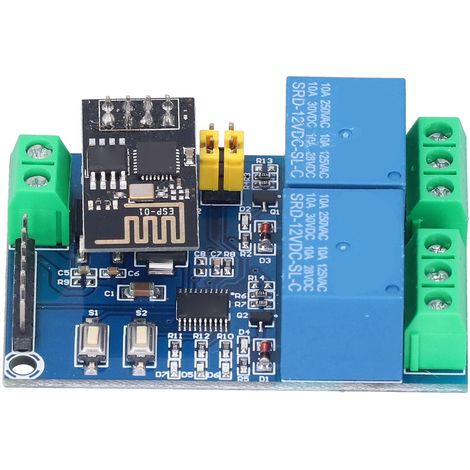 Relais WiFi double canal 12V ESP8266, module relais WiFi, commutation à distance via application mobile, adapté aux maisons intelligentes IoT. (1/5)