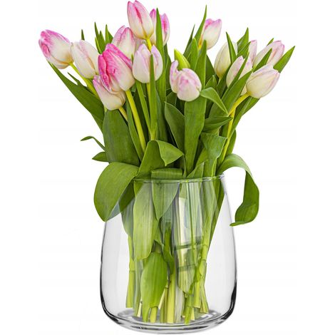 Grand Vase Salon H: 22.7 cm Rond en Verre Transparent Vase à Rose Tulipe Herbe de la Pampa Fleurs Séchées Décoration Fleur, Ø 19 cm, 5090 ML, Zinnia (1/5)