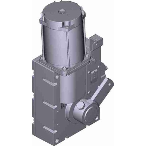 Motorreductor Motor eléctrico Gard 2500 Reemplazo de barrera CAME 119RIG201