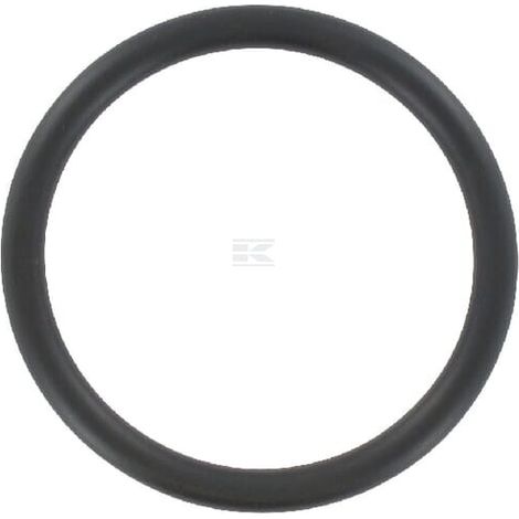 O-Ring NBR BR-EVO 260 B.P. BATTIONI PAGANI BREVO39N