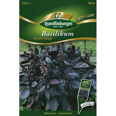 Quedlinburger Saatgut – Basilic « Moulin Rouge » – Graines d'herbes aromatiques, feuillage rouge vin, aussi ornemental (1/2)