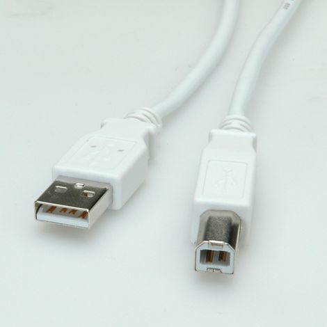 Cable USB 2.0 Value A-B M/M de 1,8 m, 6FUTP-02BL, 11.99.8819