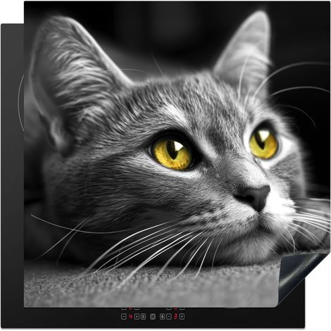 Induction Hob Protector Cat - Gray - Animals - Cat 78x78 cm