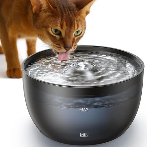 3L Automatic Water Fountain for Cats (1/3)