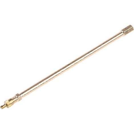 Pneu pour valve en laiton, extension de valve pour camion, moto, voiture, climatisation (1/5)