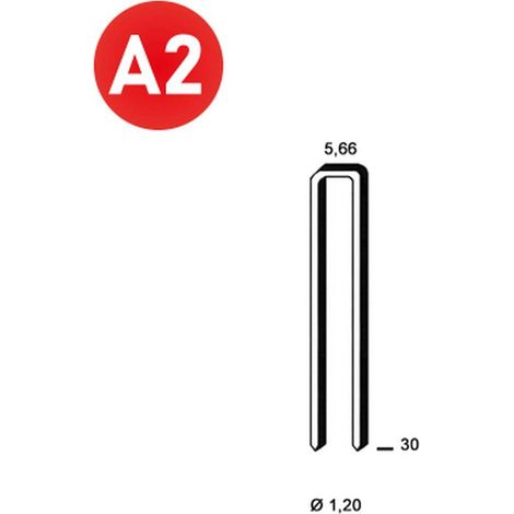 4 000 Agrafes E-30 - Galvanisées Résinées - Inox A2 - 5.66x30x1.2 mm - D-Work
