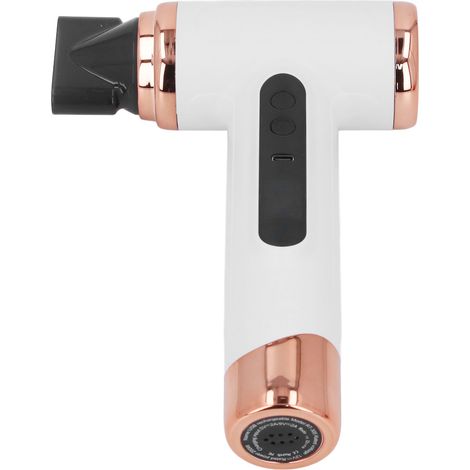 Sèche-cheveux portable multifonctionnel pour animaux et animaux de compagnie, utilisable sur cheveux secs ou mouillés, blanc, 200 W (1/5)