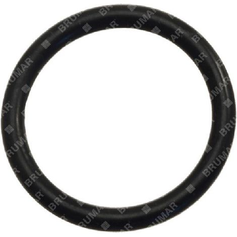ODER-Ring für KOMPATIBLE BERTOLINI-Pumpen - 004572
