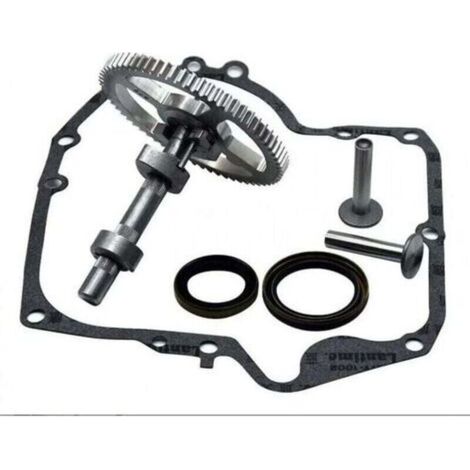 Arbre à cames Briggs & Stratton 793880 793583 792681 791942 795102 Kit de remplacement de came avec joint d'huile 795387 et joints de carter Ruikalucky 697110 LKBD (1/4)