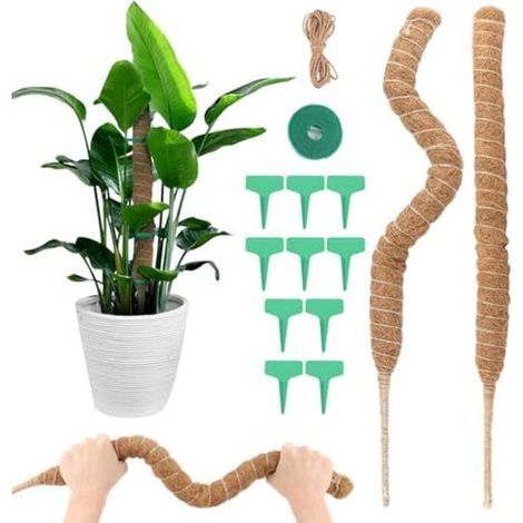 Tuteur Monstera, 2pcs 70cm Tuteur Plante Grimpante avec Accessoires Tuteur Monstera Pliable Support de Plante Tuteur de Coco, Support pour Plante Grimpante pour Plantes de Jardin et Pots (1/5)