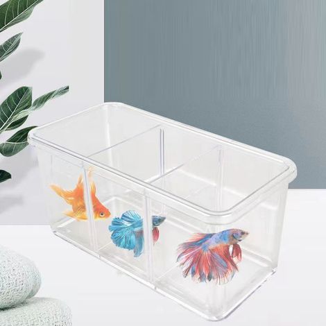 Aquarium de Bureau Écologique avec Parois Amovibles pour Combattants Multicellulaire Décoration de Table Mini Aquarium Paysager (1/5)