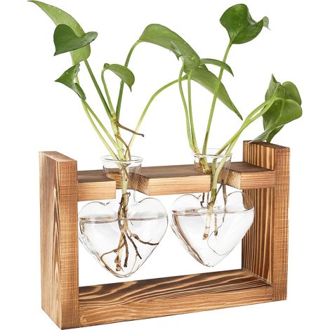 Station de propagation en verre pour plantes - Vase vintage avec cadre en bois - Pour la maison, le salon, le bureau, l'étagère, le rebord de fenêtre - Vase hydroponique - Petit terrarium pour (1/5)