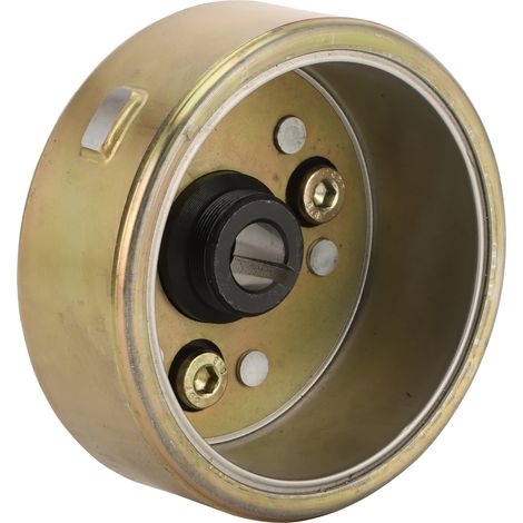 Magnetschwungrad passend für C110-cm³-Motor mit 12-poligem Gehäuse und farbigem Zinkmagneten (1/4)