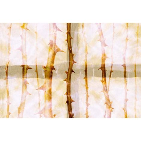 Papier peint panoramique doré nature avec ronces Tapisserie panoramique jardin d'hiver motif épine de rose Papier peint panoramique couloir (1/3)