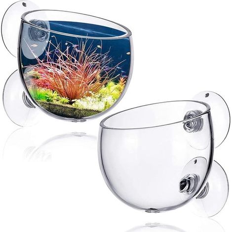 2 macetas de vidrio transparente para plantas acuáticas con ventosas - Ideales para plantas acuáticas - Soporte para decoración de acuarios (1/5)