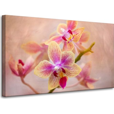 Stampa su tela Botanica Fiore Orchidea 100x60 cm