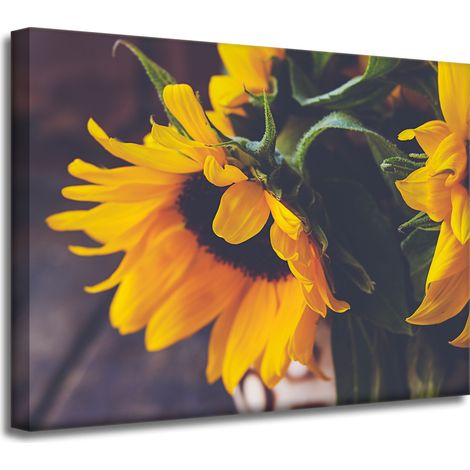 Leinwanddruck Botanik Sonnenblumen 40x30 cm