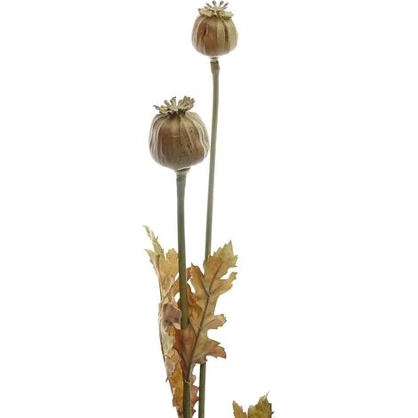 GASPER Herbstdeko Mohnzweig Natur hellbraun 74 cm - Kunstblumen