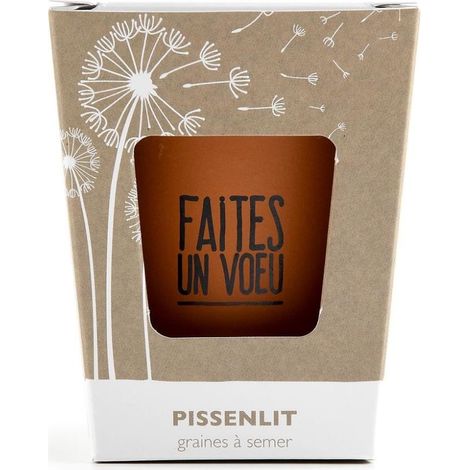 Kit message Faites un voeu - Pissenlit (1/3)