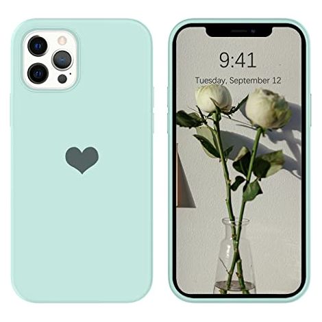 COQUE POUR APPLE IPHONE 12 PRO MAX SILICONE VERT MENTHE COEUR A2342 (1/5)