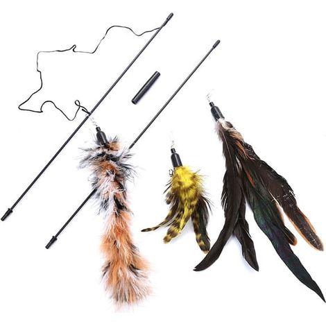 Jouet à plumes pour chats, canne à pêche rétractable interactive (1/5)