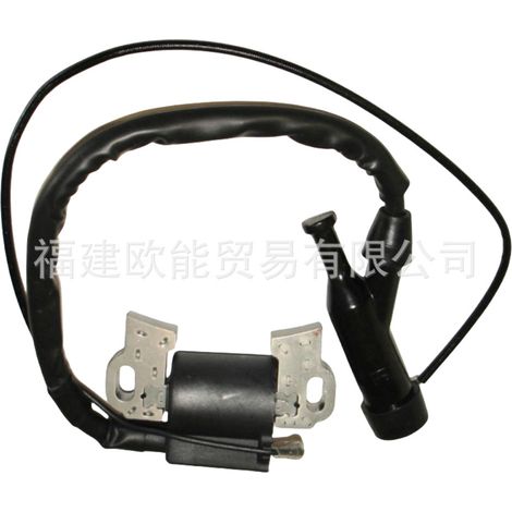 Le kit d'allumage haute tension pour Honda GX390 fournit un allumage haute tension. (1/3)