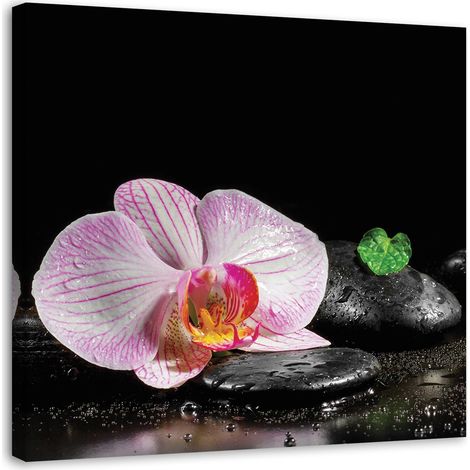 Tableau sur toile Fleur d'orchidée zen 50x50 (1/5)