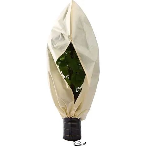 Toile de protection hivernale non tissée 140 g/m², 250 x 360 cm, protection contre le gel pour palmiers et oliviers (1/3)