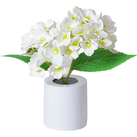 Lampe De Bureau - Lampe À Fleurs Avec Fonction LED Et Vase Intégré - 3,9 x 3,9 x 10,63 Pouces - Économe En Énergie (1/5)