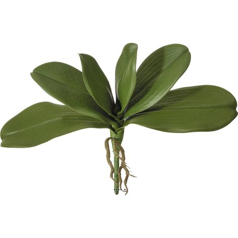 Feuillage et racines artificiels de Phalaenopsis 6 feuilles