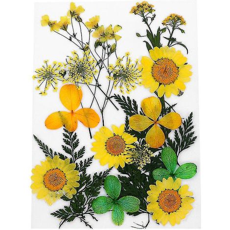 1 ensemble de fleurs pressées (1/3)