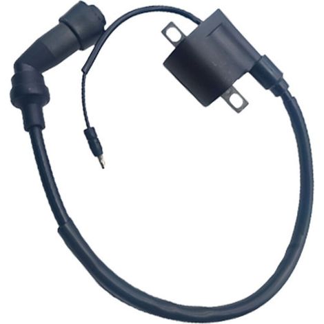 Convient pour les pièces de rechange à fil long de bobine d'allumage de moto Benelli BJ150-31/bobine haute tension BJ150-31.