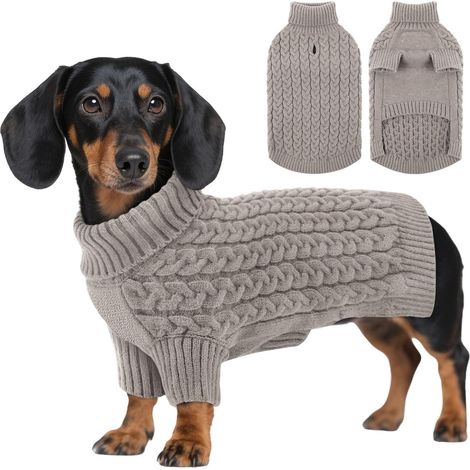 1 Pull Chien, Tricot Laine Élastique, Col Roulé, Manches Longues, Hiver Intérieur Extérieur (1/5)