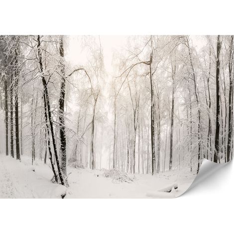 Carta da parati standard in tessuto non tessuto - 100 x 70 cm - stile classico - natura Carta da parati premium in tessuto non tessuto - 100 x 70 cm - stile classico - natura (1/4)