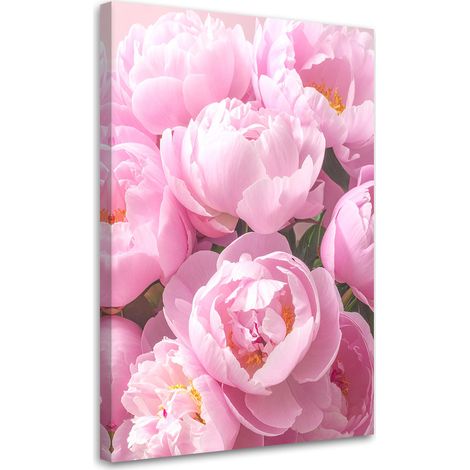 Tableaux, Pivoines roses nature,20x30 (1/4)