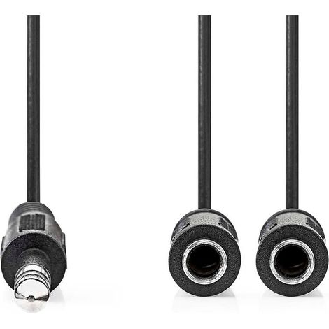 Nedis Stereo-Audiokabel / 6.35 mm Stecker / 2x 6.35 mm Buchse / Vernickelt / 0.20 m / Rund / Box