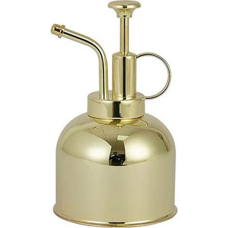 Vaporisateur pour plantes d'intérieur - Flacon pulvérisateur en acier inoxydable pour plantes d'intérieur (1/5)