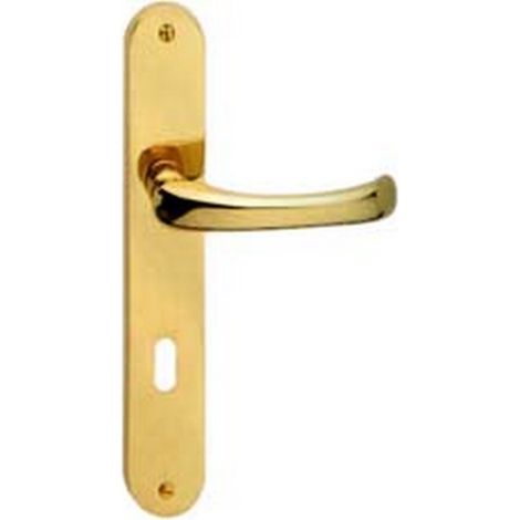 2PA MANIGLIA RIO CON PLACCA IN OTTONE - mm.70 foro normale