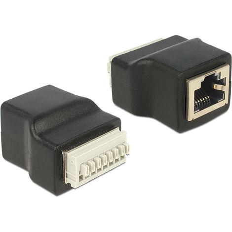 Delock adapter rj45 female  terminal block with push button 8 pin