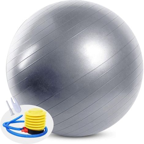 Exercise Balls 55 cm Gymnastics Balls Non-Slip Ball for Childbirth Pilates Yoga Ball Balance Stability (1/5)