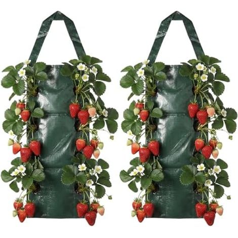 Sac de Plantation Fraises, 2 Pièces Culture à Fraises Suspendu avec 8 Trous, Tour Fraise, Potager Vertical pour Légumes, Fleurs, 70 × 60 25 cm, PE - (1/5)