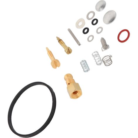 Kit de réparation de carburateur 14 pièces (métal et caoutchouc) pour moteurs Tecumseh 8-10 CV HH100 HHM80 HM70 HM90 (1/5)